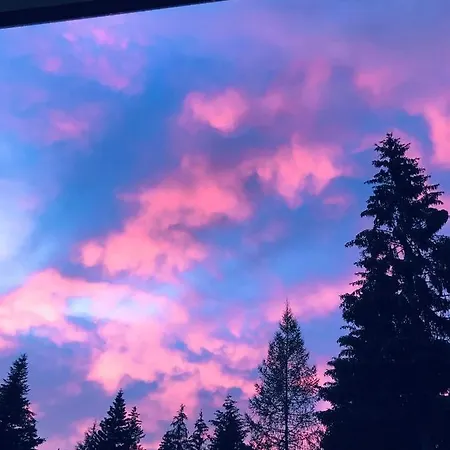 Dell'orso * Pescasseroli