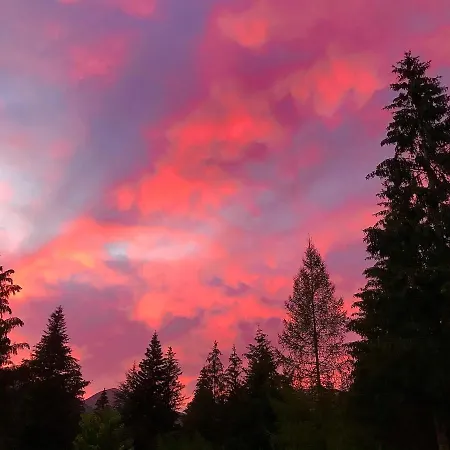 Dell'orso Pescasseroli