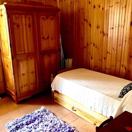 Dell'orso Pescasseroli