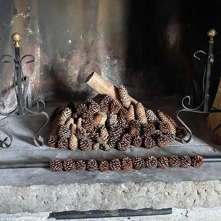 Dell'orso Appartement *