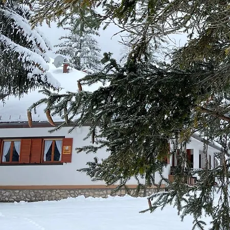 Dell'orso Appartement *