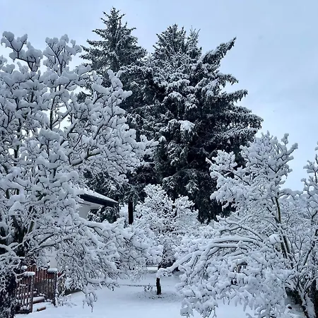 Dell'orso * Pescasseroli