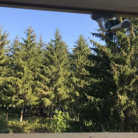 Dell'orso Pescasseroli