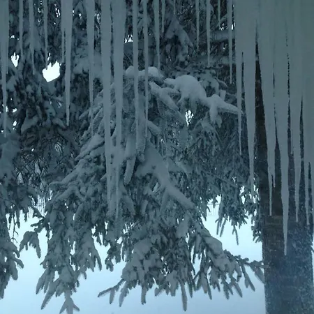 Appartement Dell'orso