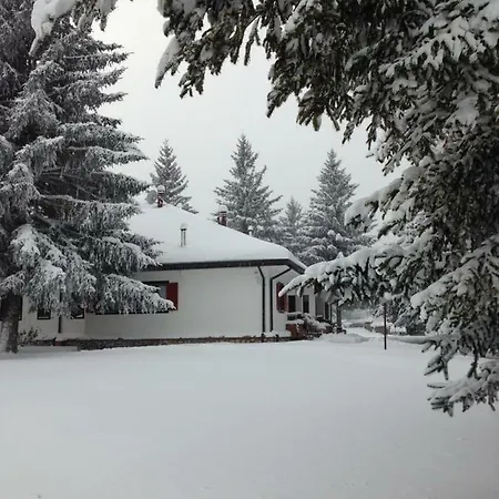 Dell'orso Apartman *