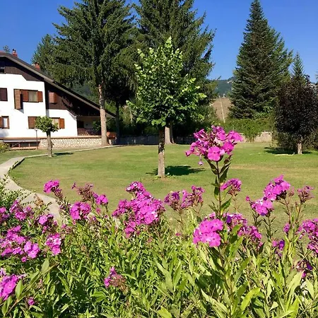 Dell'orso Apartament *