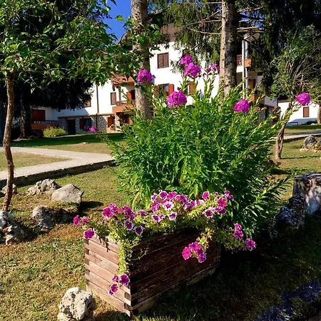 Dell'orso