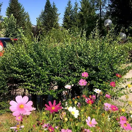 Dell'orso Апартаменты Пескассероли