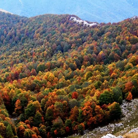 Dell'orso Пескассероли