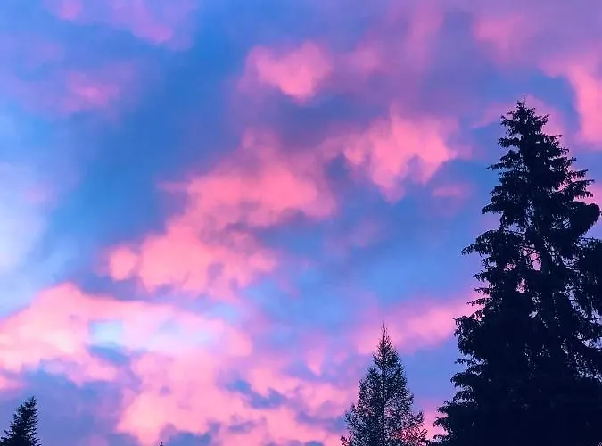 Dell'orso * Пескассероли