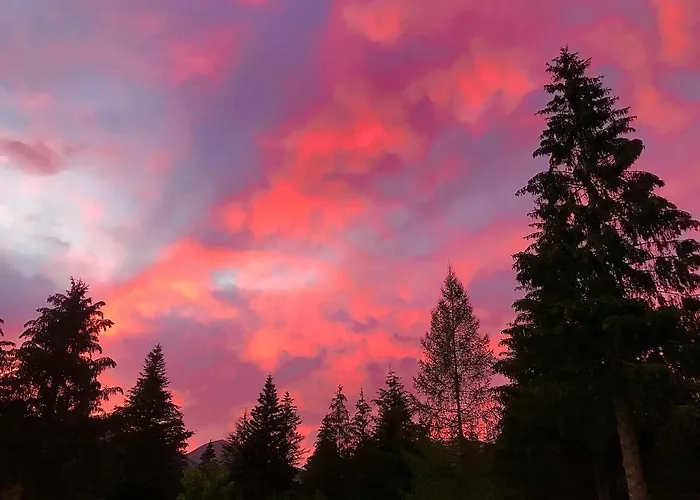 Dell'orso Pescasseroli