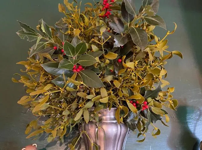 Dell'orso Pescasseroli