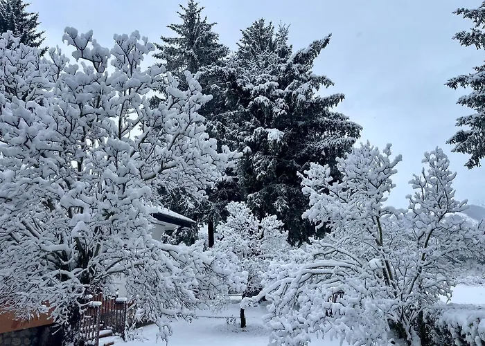 Dell'orso * Pescasseroli