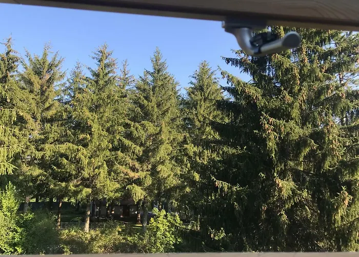 Dell'orso Пескассероли