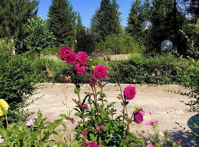 Dell'orso Apartamento