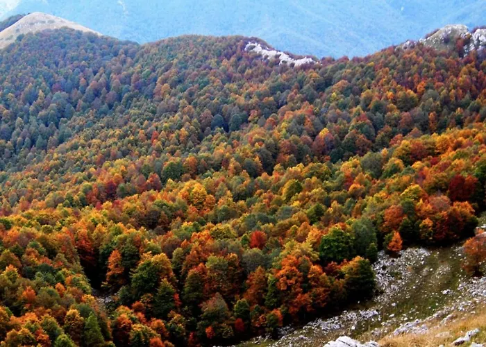 Dell'orso Пескассероли